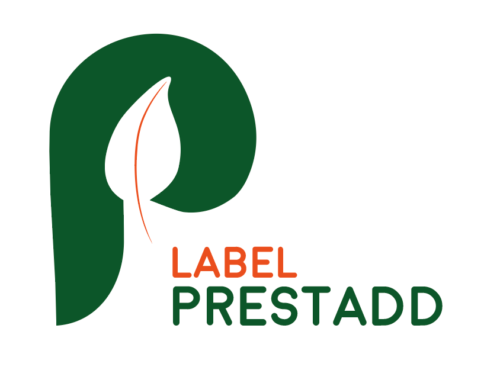 Prestadd fait peau neuve ! Découvrez le nouveau logo, le nouveau site internet et la page LinkedIn du label !